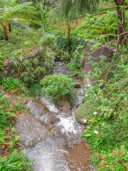 Isola di nome Madeira — Foto Stock