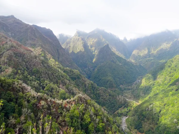 Ostrov s názvem Madeira — Stock fotografie