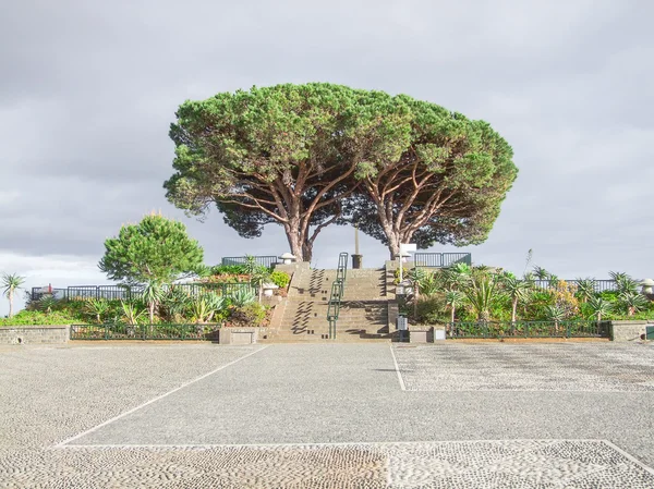 Pico dos Barcelos — Fotografia de Stock