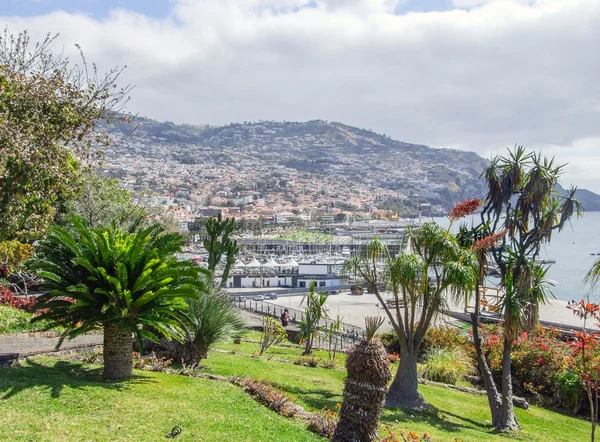 Funchal na Maderze — Zdjęcie stockowe