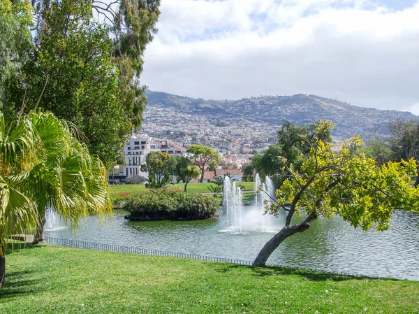 Funchal Madeira — Stockfoto