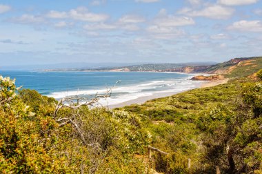 Point Addis Marine National Park, Anglesea, Victoria, Avustralya 'da bulunan bir ulusal deniz parkı.