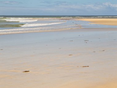 Hafif dalgalar bulutlu bir yaz öğleden sonrasında kumlu sahili yıkıyor - Torquay, Victoria, Avustralya