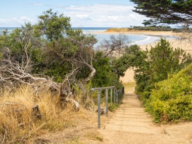 Ön Sahile giden adımlar Torquay, Victoria, Avustralya