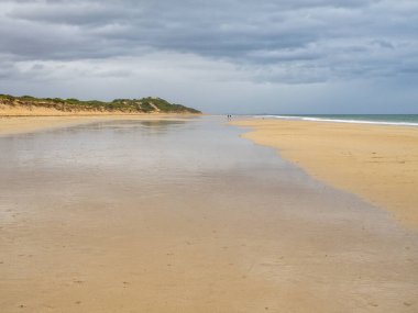 Beyazlar Sahili 'ndeki gelgit akıntısı - Torquay, Victoria, Avustralya