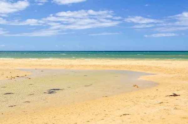 Gezeitenströmung Whites Beach Torquay Victoria Australien — Stockfoto