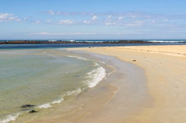 Griffiths Adası 'ndaki ıssız kumlu plaj - Port Fairy, Victoria, Avustralya