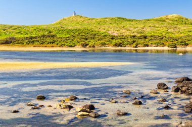Griffiths Adası rezervi Moyne Nehri 'nin ağzında bulunur - Port Fairy, Victoria, Avustralya