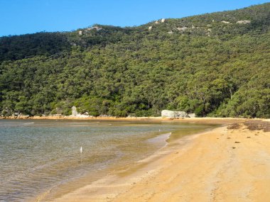 Bu güzel kumlu sahil, Telegraph Saddle to Sealers Cove pistinin sonunda büyük bir ödüldür.