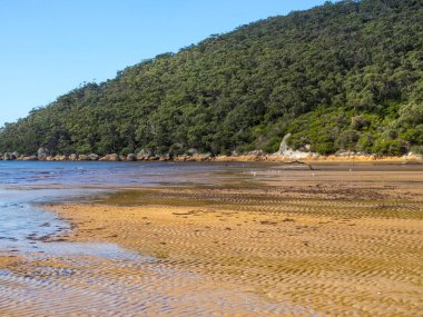 Sular çekildiğinde Sealers Koyu sahilinde kum dalgaları - Wilsons Promontory, Victoria, Avustralya