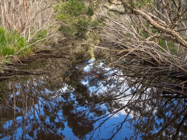 Reflet Aquatique Ciel Bleu Quelques Nuages Blancs Dans Ruisseau Black — Photo