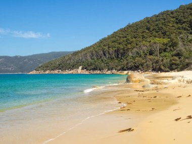 Kuzey Waterloo Körfezi 'nde bir başka güzel kumlu sahil - Wilsons Promontory, Victoria, Avustralya