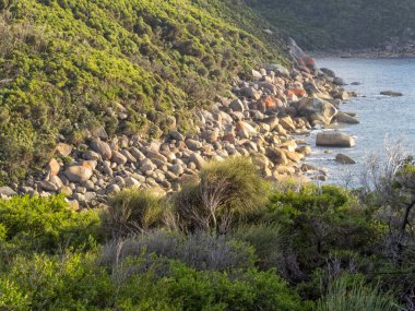 Sabah güneşi deniz fenerinin altındaki granit kayaları kaldırıyor - Wilsons Promontory, Victoria, Avustralya