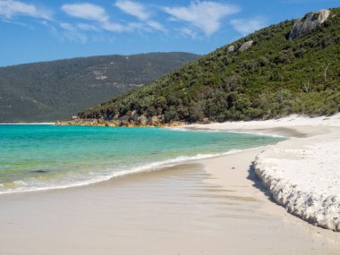 Little Waterloo Körfezi 'ndeki kumsal - Wilsons Promontory, Victoria, Avustralya