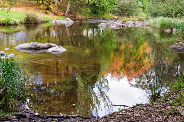 Eau Claire Cours Supérieur Rivière Yarra Warburton Victoria Australie — Photo