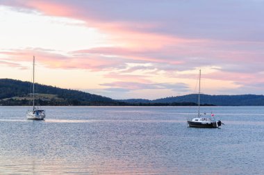 Georges Körfezi 'nde yelkenli tekneleri - St Helens, Tazmanya, Avustralya