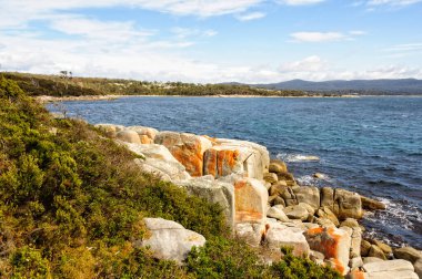 Turuncu liken ile kaplanmış granit kayalar - Binalong Körfezi, Tazmanya, Avustralya