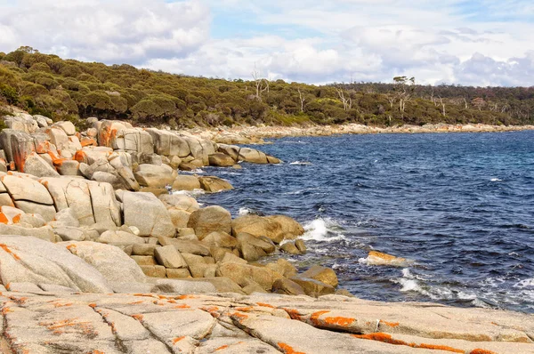 Piedras Granito Envueltas Liquen Naranja Binalong Bay Tasmania Australia — Foto de Stock