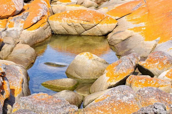 Petit Étang Sur Rocher Granit Orangé Recouvert Lichen Dans Baie — Photo