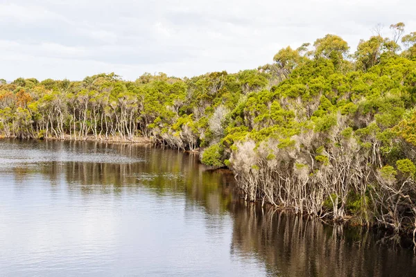 Big Lagoon Creek Bay Fires Tasmanië Australië — Stockfoto