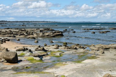 Bu sahilde 15.000 'den fazla kemik, diş ve ayak izi bulundu. Küçük dinozorlara ait. Inverloch, Victoria, Avustralya.