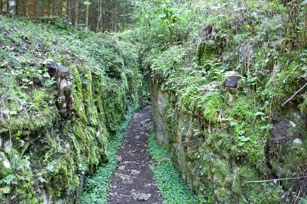 hiking trail in the Forra del Lupo The Wolf\'s Gorge. It was called Wolfsschlucht by the Austrians, the wolfs throat, the wolfs gorge. A first-line trench that develops along the high rock walls