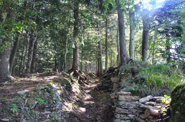 hiking trail in the Forra del Lupo The Wolf\'s Gorge. It was called Wolfsschlucht by the Austrians, the wolfs throat, the wolfs gorge. A first-line trench that develops along the high rock walls