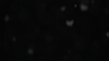 Gerçek kar yağışı, büyük kar taneleri yavaşça siyah zemine düşüyor.