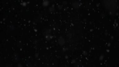 Gerçek kar yağışı, gerçek kar taneleri yavaşça siyah zemine düşüyor.