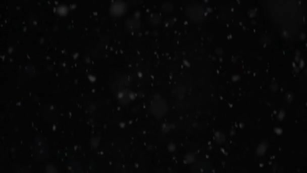 Skutečný Zimní Sníh Reálnými Sněhové Vločky Pomalu Padá Černé Pozadí — Stock video
