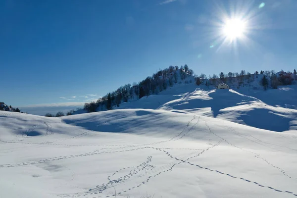 冬のカンポグラッソ高原の風景 ヴィチェンツァ イタリア リフジオ カンポグラッソにつながる雪の道の足跡 晴れた日に — ストック写真