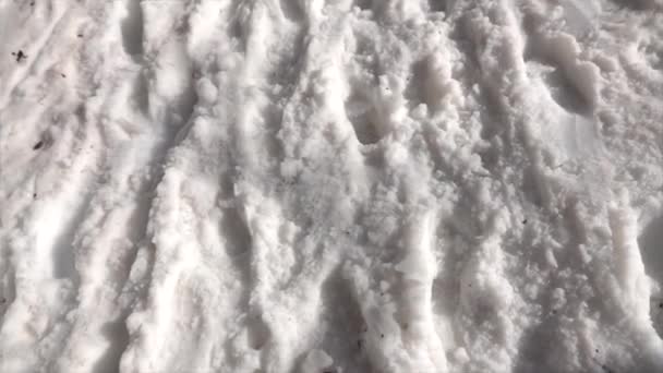 Gambe Dell Uomo Stivali Che Camminano Sulla Neve Con Impronte — Video Stock