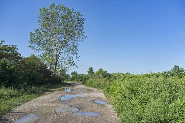 Güneşli bir günde ekili tarlalar arasında yol alan toprak yoldaki büyük su birikintileri..