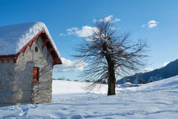 Chalet Montagne Pierre Avec Toit Plein Neige Arbre Proximité — Photo