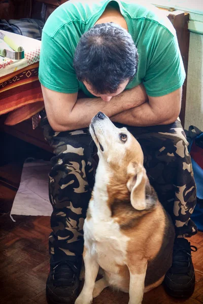 Sitzender Mann Schaut Ihrem Hund Die Augen — Stockfoto