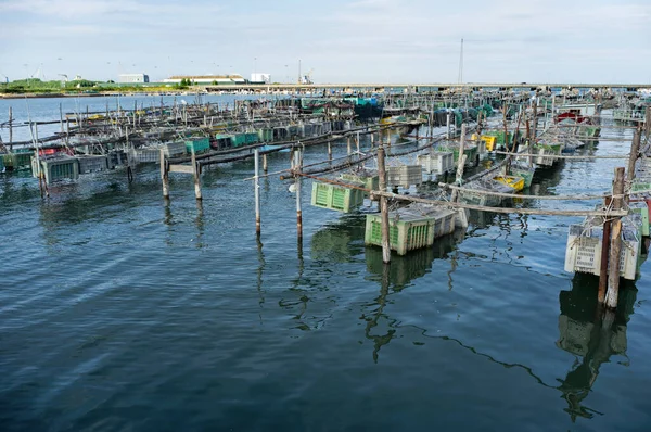 Fiskefeller Ankret Fiskebåter Havn Chioggia Sett Fra Granatieri Sardegna Gate – stockfoto