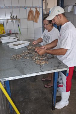 Taze karidesler temizliği