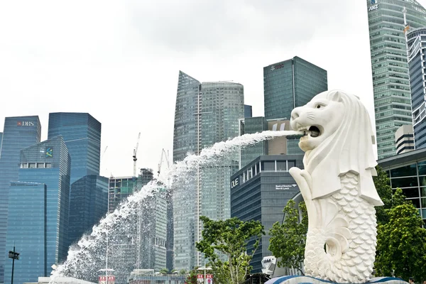 Singapore Merlion Park — Stock Photo, Image