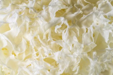 Beyaz Jöle mantar kurutulmuş