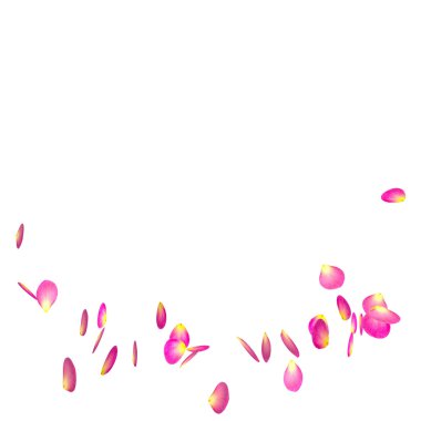 Kırmızı gül yaprakları bir daire içinde izole beyaz arka plan üzerinde uçuyor