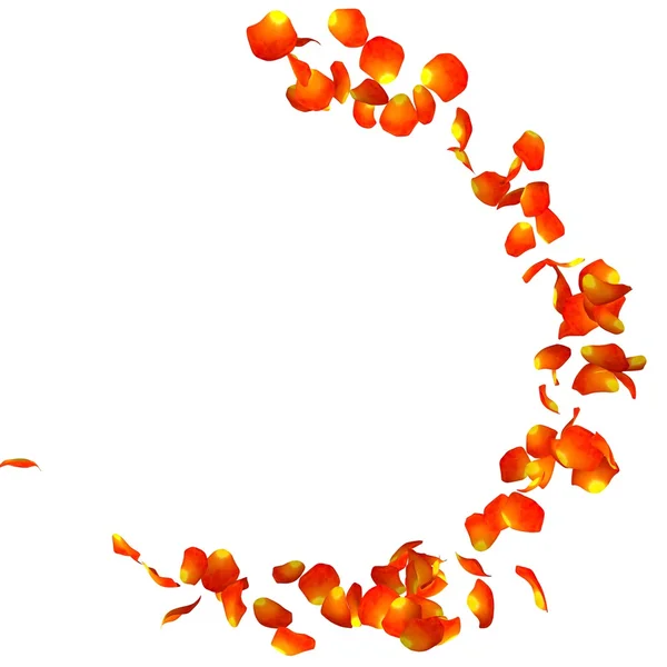 De orange rosenblad flyger i en cirkel på isolerade vit bakgrund — Stockfoto