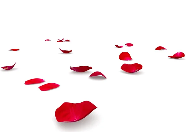 Rose petals fall to the floor — Stock Photo, Image