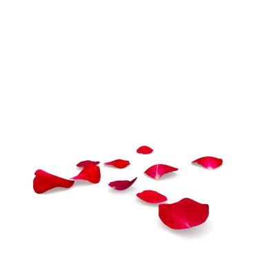 Gül yaprakları yere düşmek