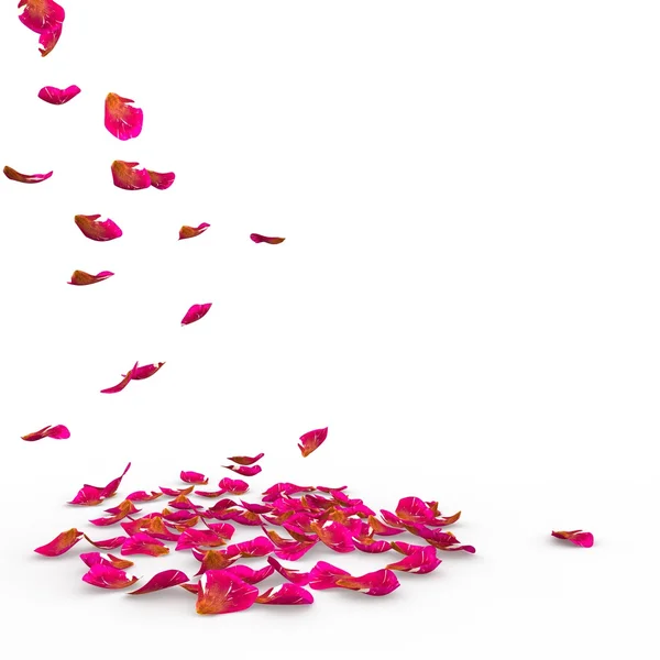 Rose petals speckled fall on the floor — Stock Photo, Image