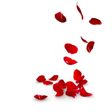 Gül yaprakları yere düşmek