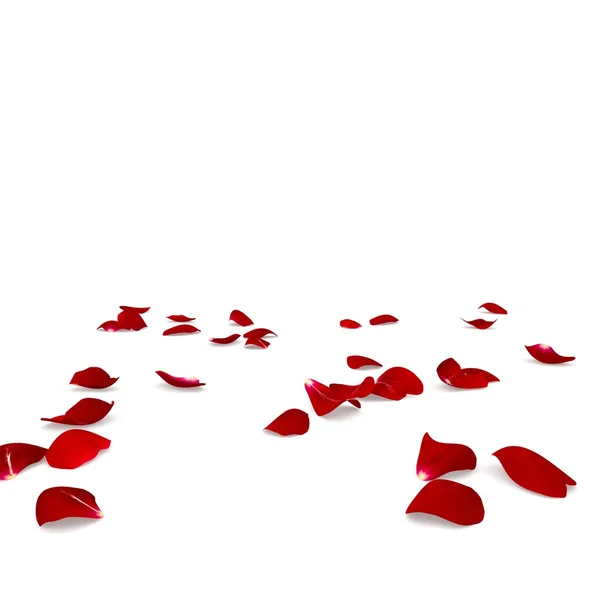 Petali di rosa rossa sparsi sul pavimento — Foto Stock