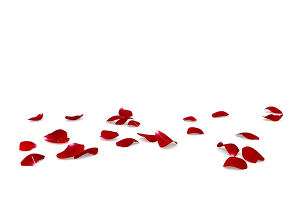Pétalos de rosa roja esparcidos por el suelo —  Fotos de Stock