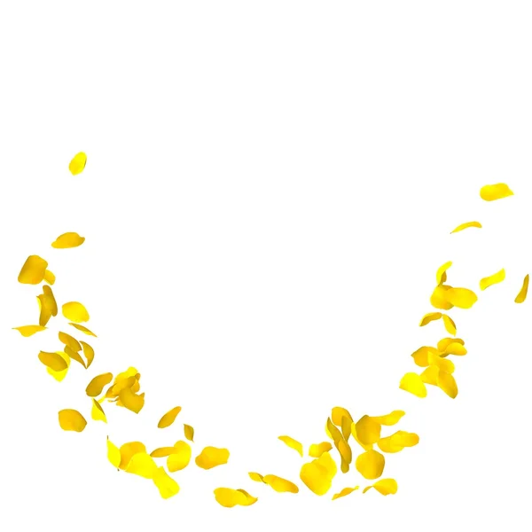 Pétales roses jaunes volent en cercle sur fond blanc isolé — Photo