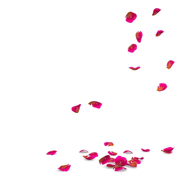 Rose petals speckled fall on the floor — Stock Photo, Image