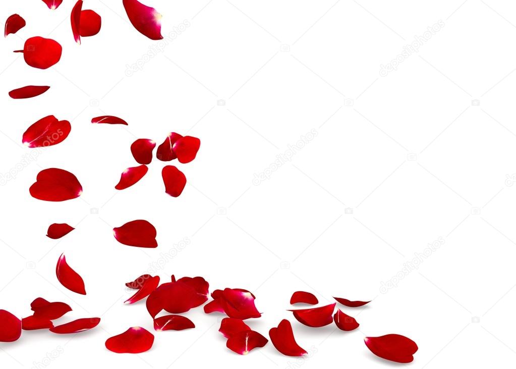 [Treino] A Little Disciple And Her Master Depositphotos_107636576-stock-photo-rose-petals-fall-to-the